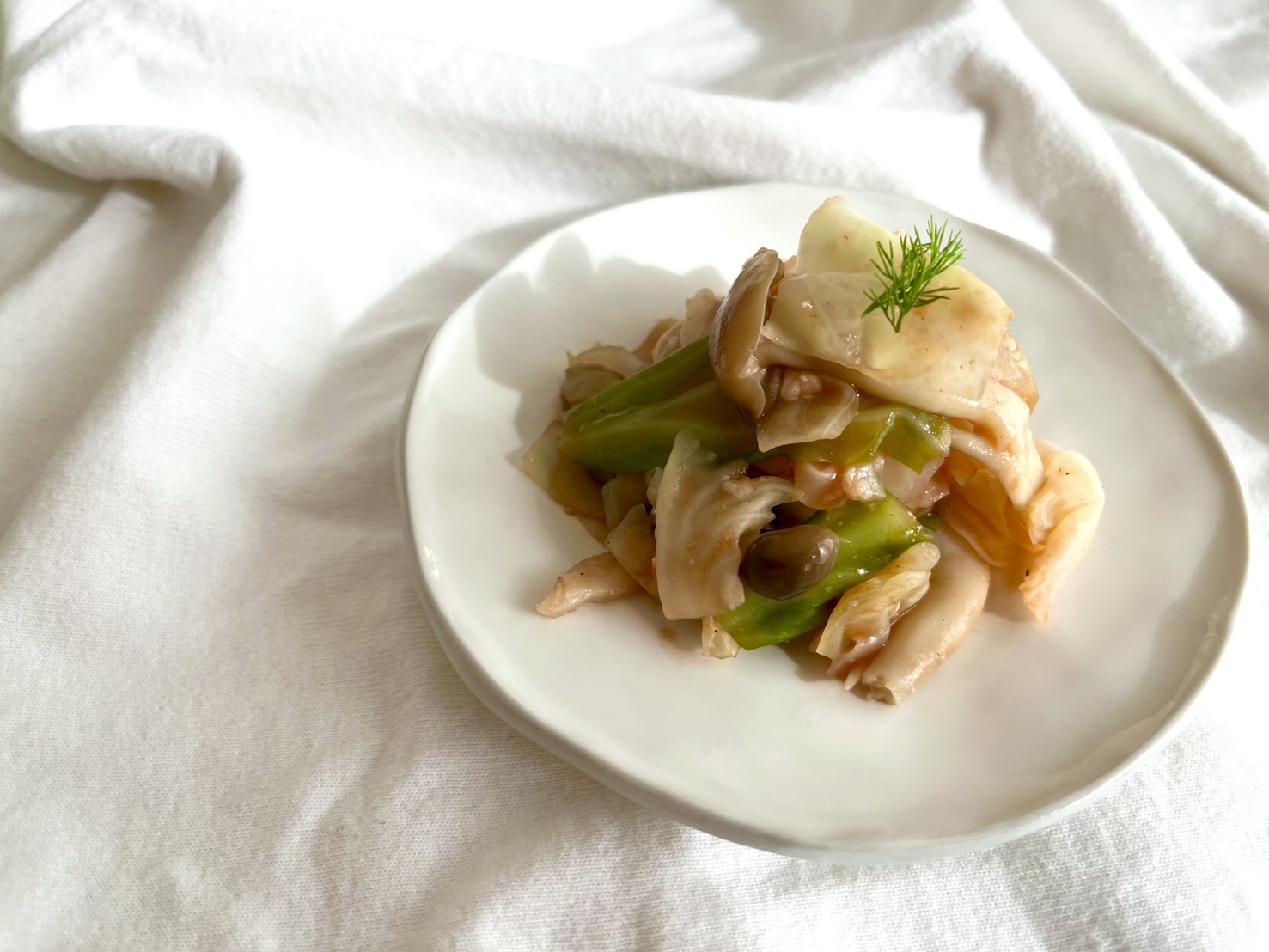 キャベツときのこのアラビアータ風【大浦舞】