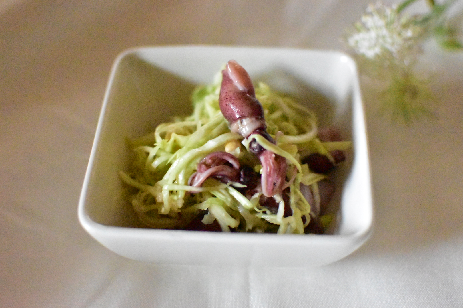 ホタルイカと春キャベツの味噌ナムル【仁田脇まなみ】